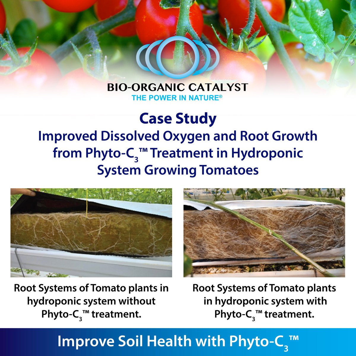 🌱 Habanero Trial Results 🌶️
BOC in irrigation boosted yields vs. control:
+38–40% initial harvests
+50–60% total harvests
Up to +140% after nutrient adjustments
No change in taste, appearance, or spiciness.
Consistent quality. Higher yields.
🔗 bio-organic.com/wp-content/upl…