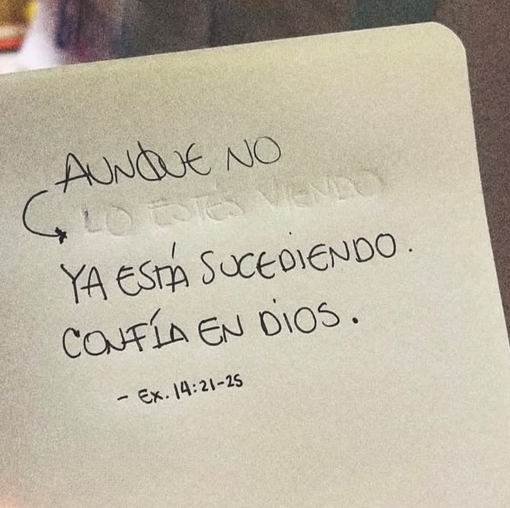 liderdefe7's tweet photo. Dios pelea por tí.
#Dios #añodelibertad https://t.co/YmyID510VD