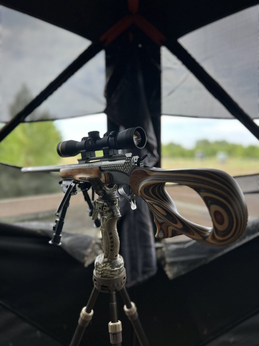 Kerry Mackey tweet media