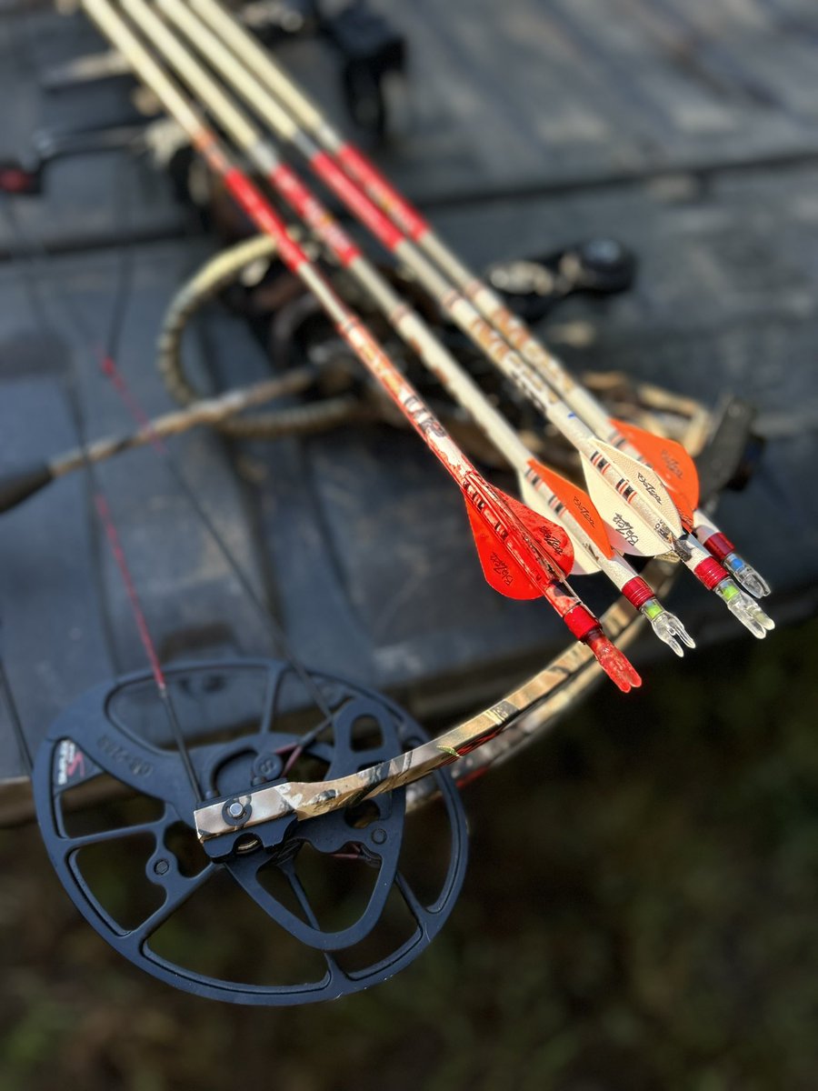 Kerry Mackey tweet media