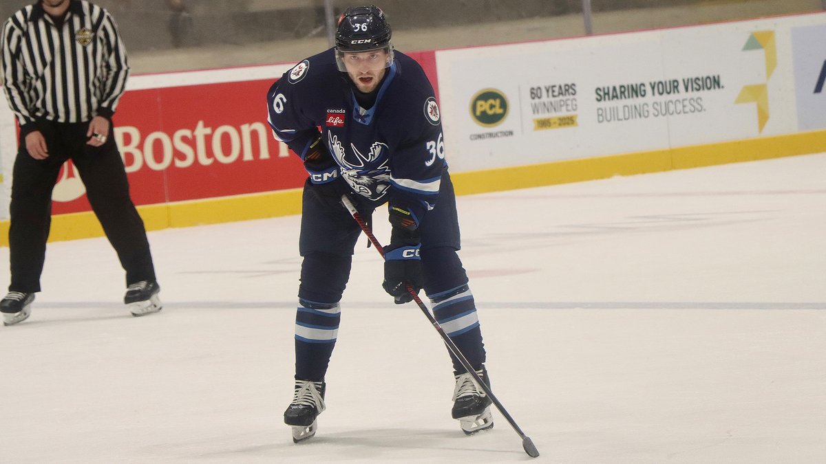 NorfolkAdmirals's tweet photo. Admirals in action tonight with the @ManitobaMoose! 📸🫎 https://t.co/Cqi2UDvTl8