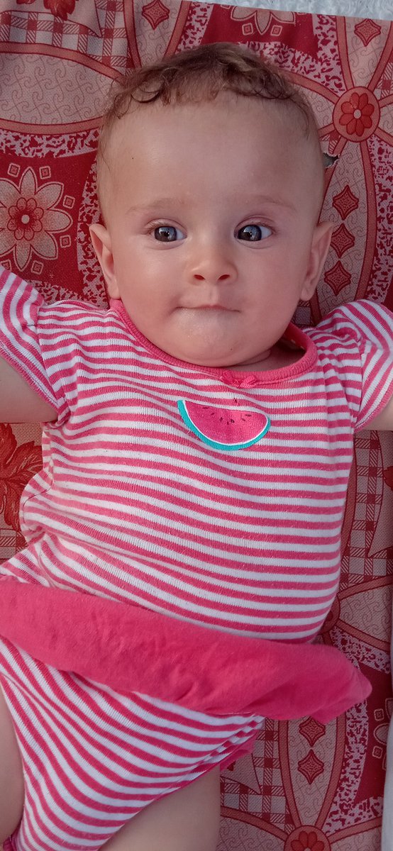 suha_alkahlout's tweet photo. Sama is 6 months old. I feed her some vegetables and fruits, but they are expensive. Please donate to Sama via the link... https://t.co/P2Oxy10nBl
@BulentY_ @digermesele @sandrinemar @ainiladra @oliveegirl https://t.co/0nP0Yalxly