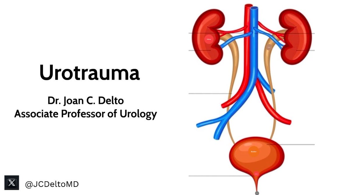Joan Delto MD tweet media