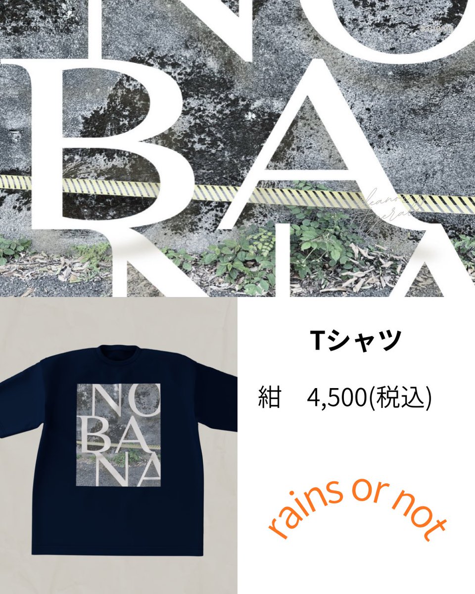 ╭━⊹⊹⊹━──
　🆕 グッズ販売開始 🆕※訂正再ポスト
　　　　　　　　　　　　　──━━━╯

最新曲『野花』のジャケットを使用した
rains or not初のオリジナルグッズが販売開始‼️

詳細は画像をcheck✅

▼online shop▼
rainsornot.booth.pm/item_lists/8aY…

☔️☀️⛄️
