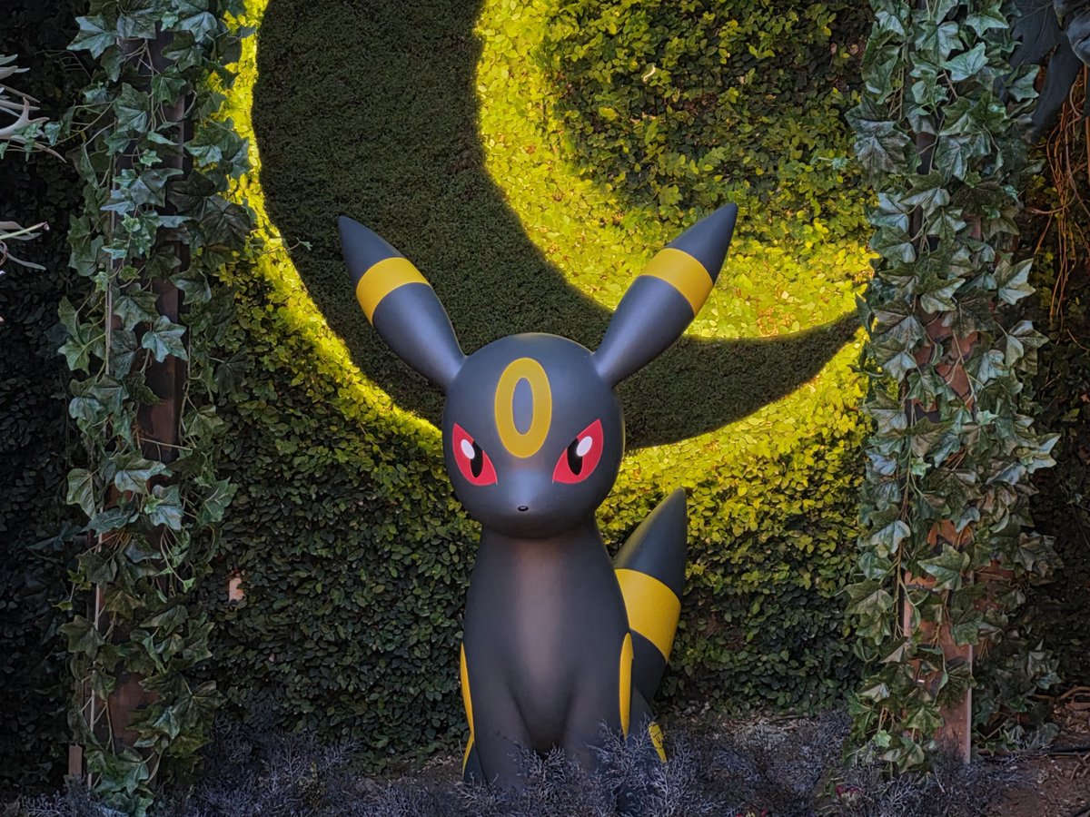 포켓몬 스토어 온라인 (@pokemonstorekr) on Twitter photo 