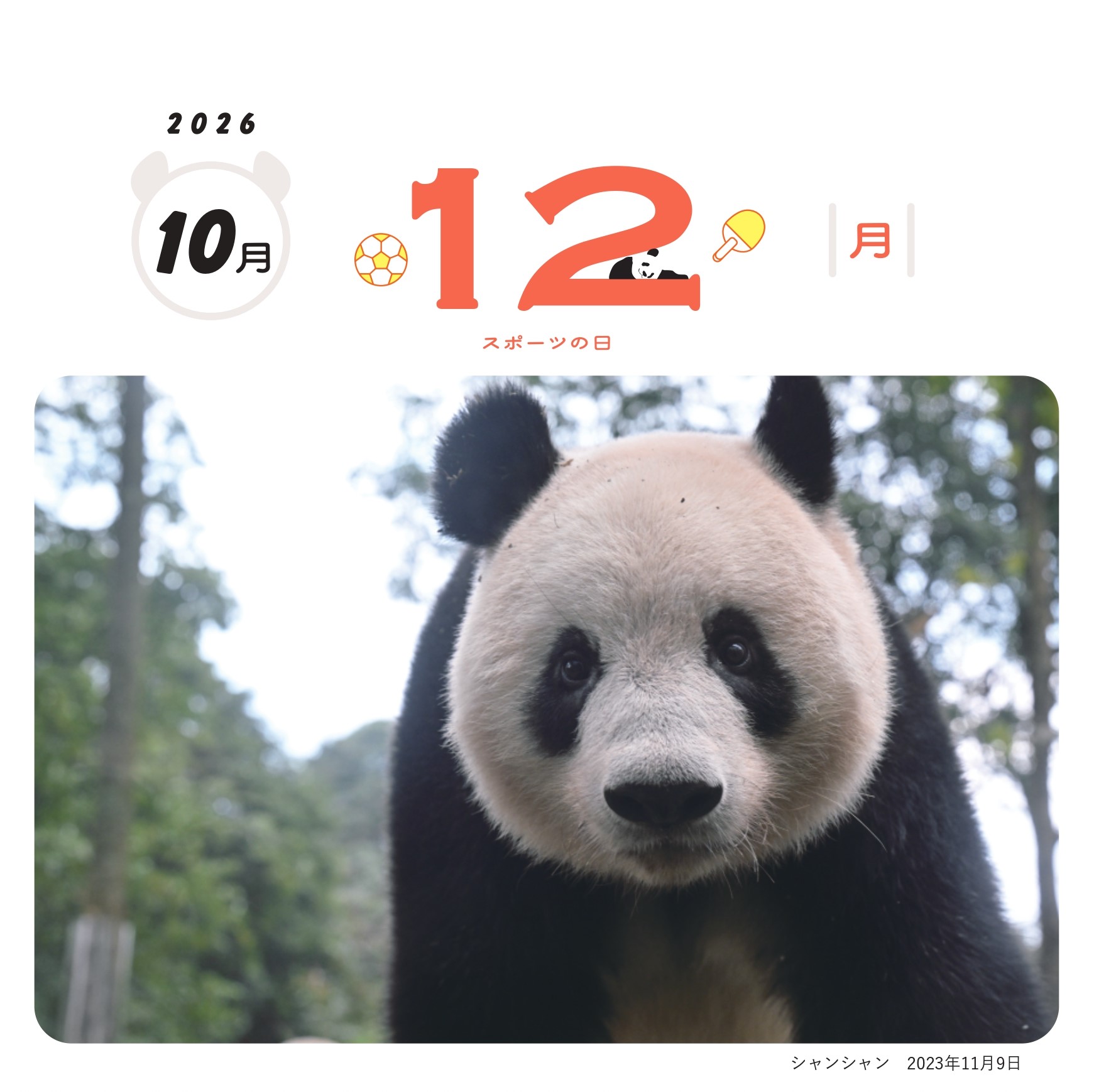 別冊太陽（平凡社） (@bessatsutaiyo) / X