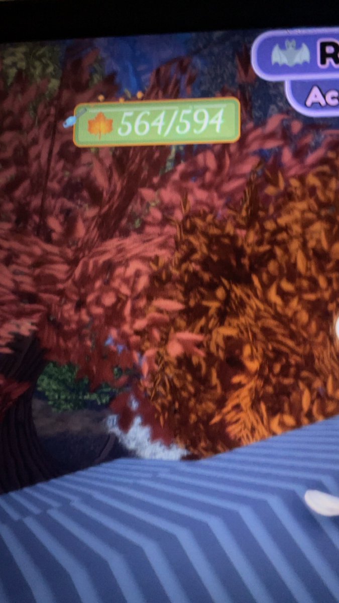 Hunter౨ৎ tweet media