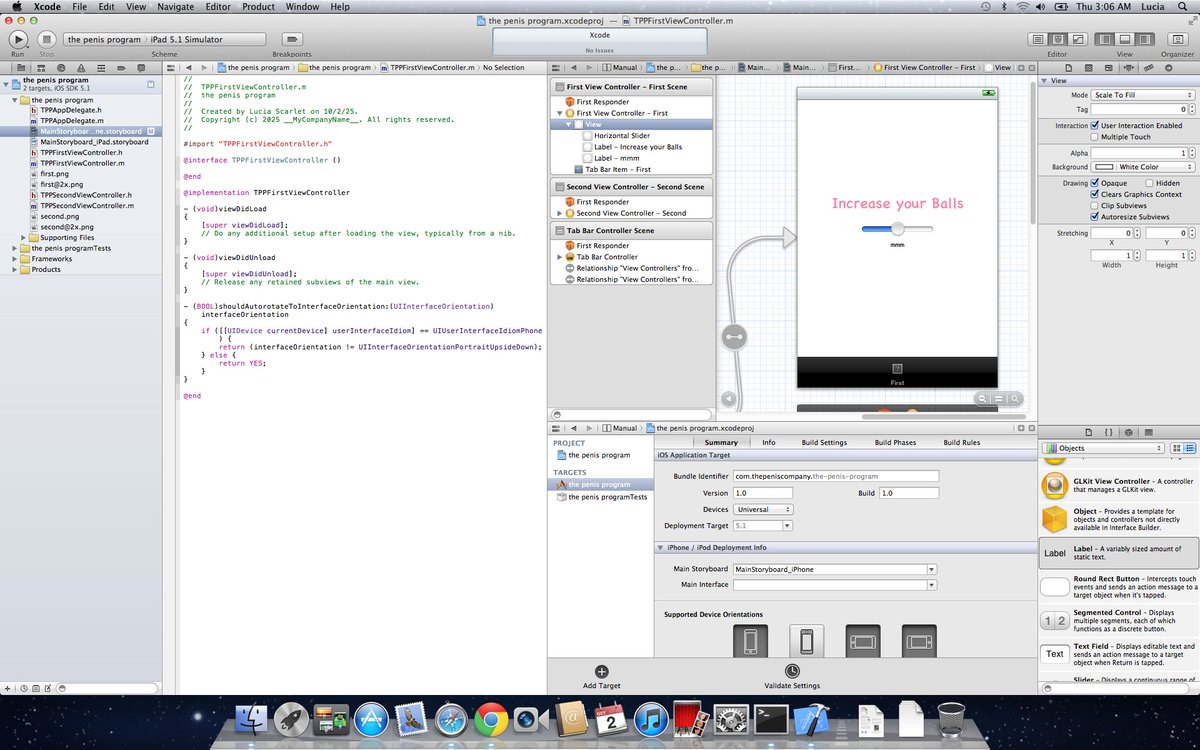 luciascarlet's tweet image. I wish I'd known how to use Xcode back when it still looked NORMAL