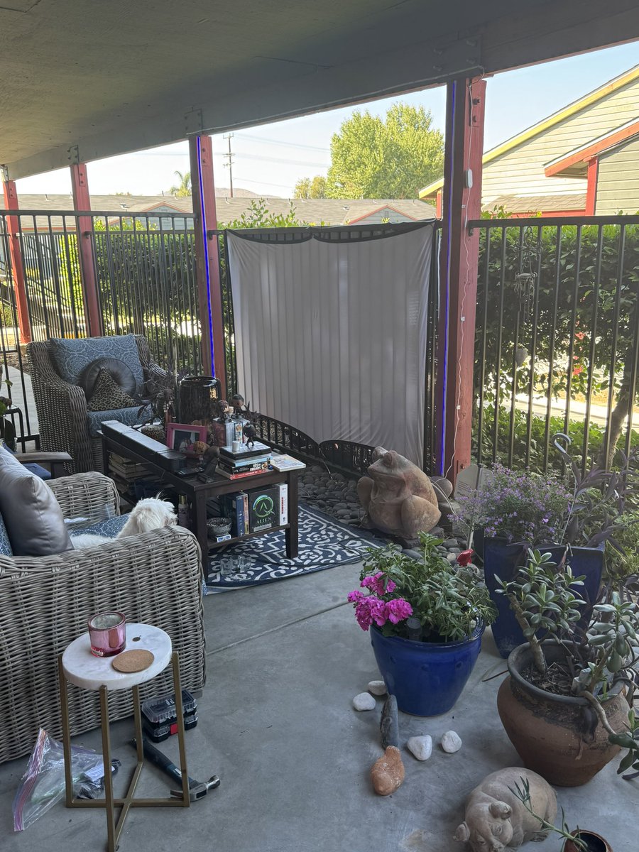 IndiaNichole19's tweet image. Hey, everyone. Let's play a game - can you spot me in the garden?🐶🐾🦴 #dogsofx #doglovers #petlover