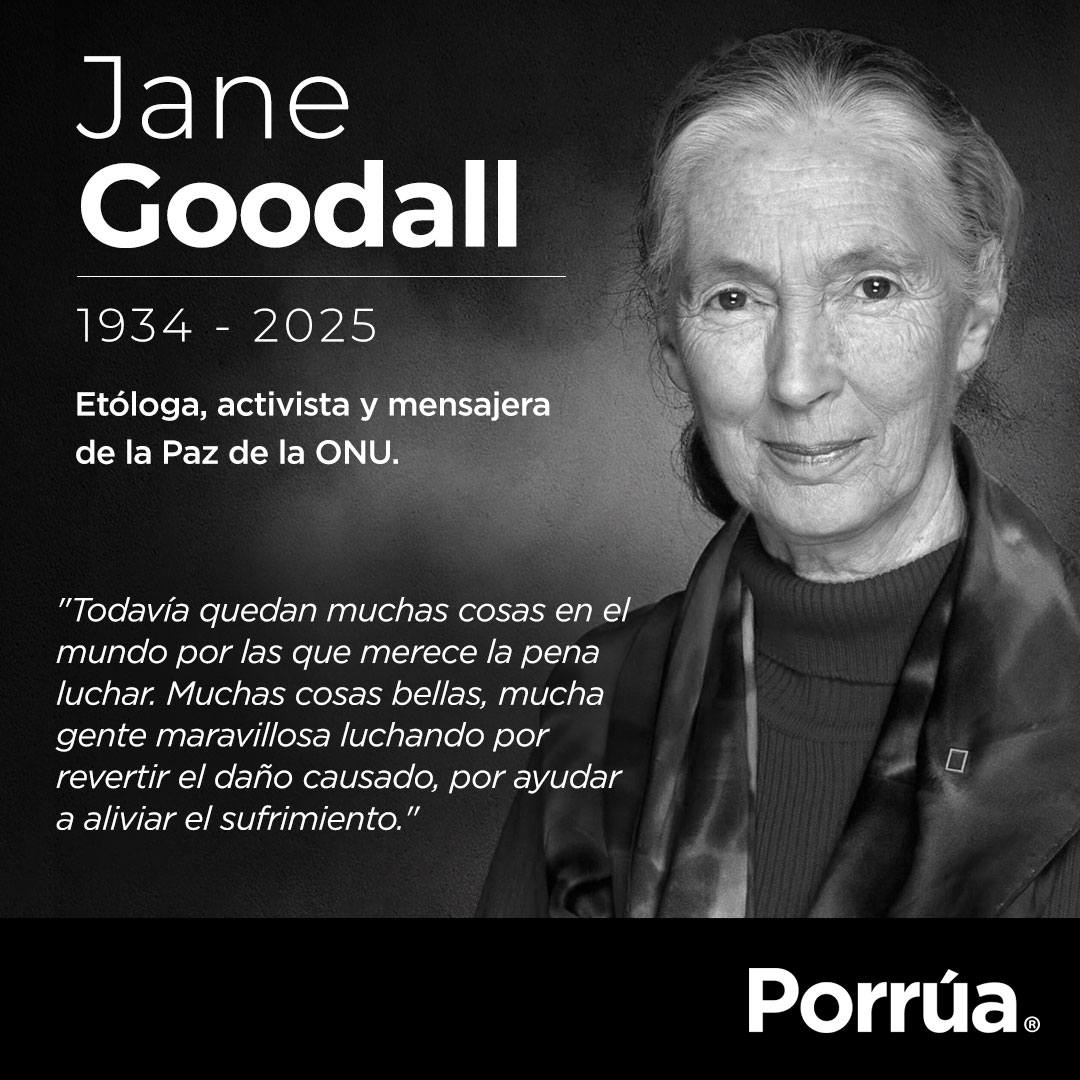 libreriaporrua's tweet photo. Nos unimos a la pena que embarga a la comunidad científica por el fallecimiento de la activista y etóloga, Jane Goodall.

https://t.co/uN4cHQxZIV

#JaneGoodall #Chimpances #Ciencia #Animales #MundoAnimal #Libros #Literatura #Mexico #CDMX #Libreria #Porrua https://t.co/2oXj7GSgXD