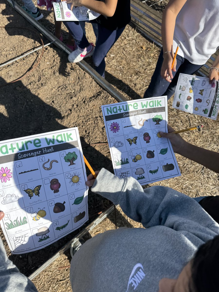 JanetteFMendez's tweet image. 🌱 Presenting… 25 little Koalas diving into the magic of our garden! Hands in the soil, hearts full of wonder 🐾🪴 A brand new adventure begins—with fluttering butterfly friends to guide the way! 🦋 @NISDCarlosCoon @NISDElemScience #KoalityGardenClub #ButterflyMagic