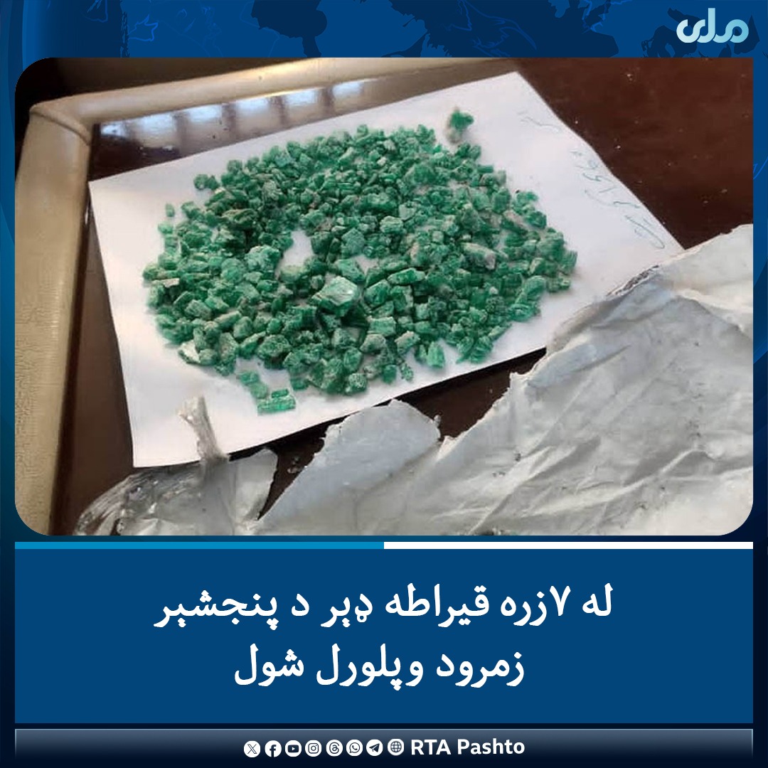 په یوه تازه داوطلبۍ کې د پنجشېر له معدن څخه ۷زره ۴۶۴ قیراطه زمرود د ۱۰۶زره امریکايي ډالرو په بدل کې په ملي سوداګرو وپلورل شول. 
دغه داوطلبي د معدنونو د څارنې پلاوي په شتون کې ترسره شوه. 
#ملي‌تلویزیون