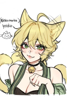 my cat oc youko doodles I did on magma!