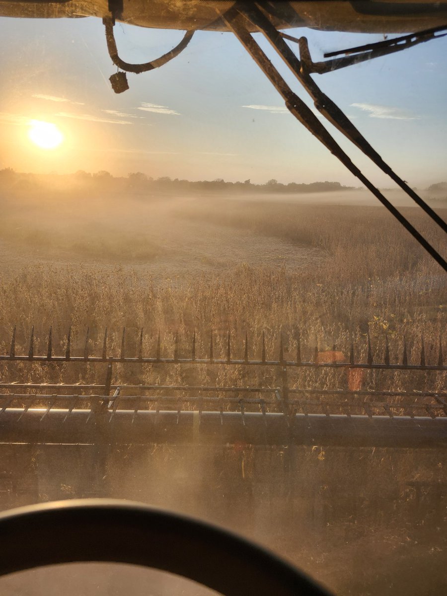 Bean dust is brutal this year