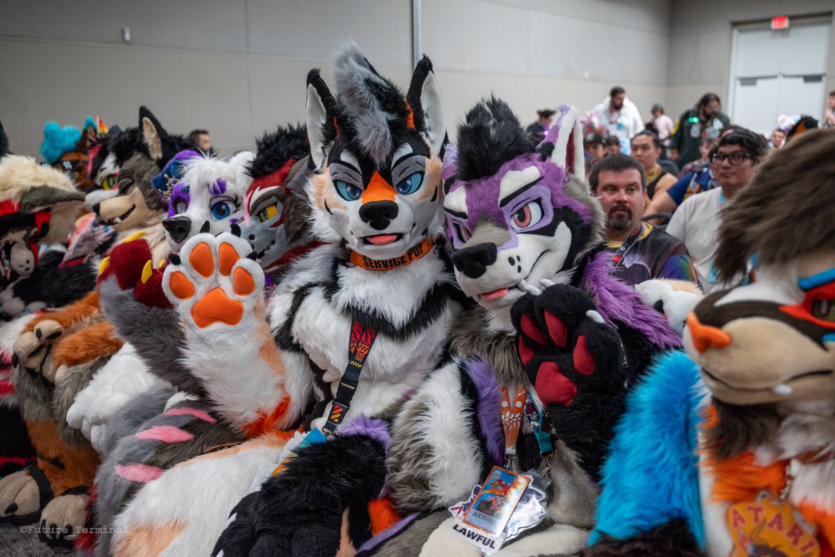 EldricYote's tweet image. Kagetsu children attending dads' panel @AnotherFurryCon! #FursuitFriday
🐺: @Akaru_Wolf
📸: @Future_Terminal
🪡: @kigurumikagetsu