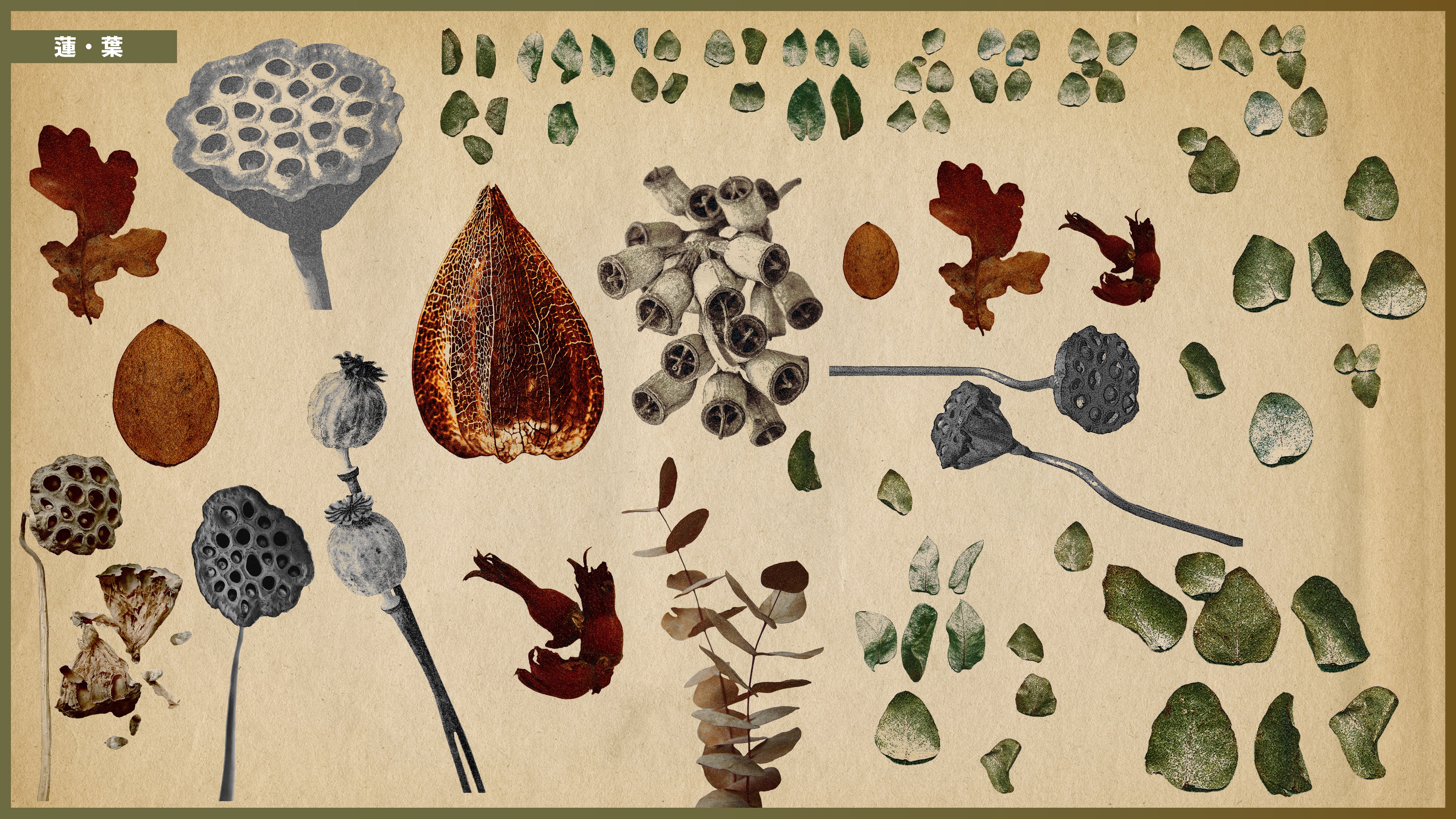 Haruru 様 お取り置き中(*・ᴗ・*) コラージュ素材 まとめ売り