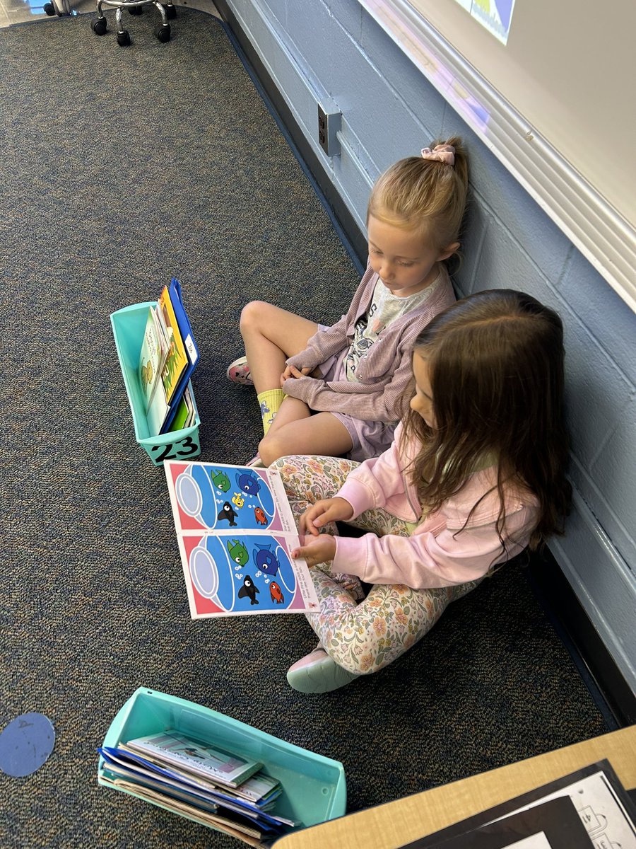 MrsWeiss1st's tweet photo. Practicing buddy reading to get ready to start our Lit Lab routine! Students did a great job reading to one another! https://t.co/mrjb78xvMC