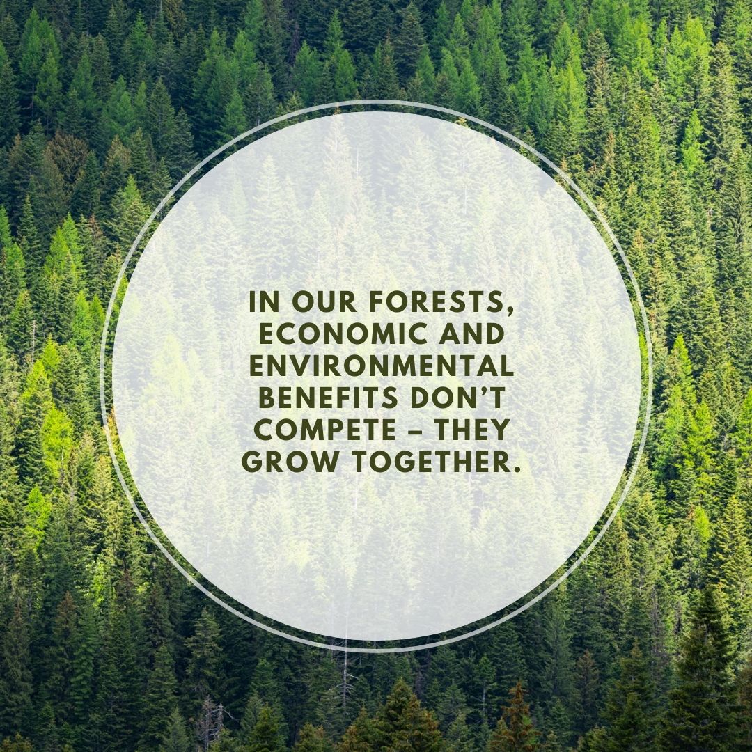 Without healthy markets, the long-term resilience of America’s working forests is at risk. With them, forests remain intact, resilient, and productive for generations to come. #workingforests #MarketsMakeItPossible #ModernAmericanForestry