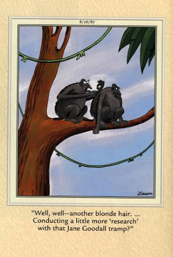 George@Isa tweet media