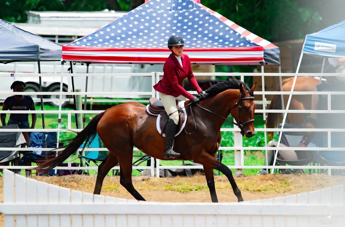 AfterFinishLine's tweet photo. Meet CAL’S GIRL, 8y/o #Calbred #OTTB competing in Eventing/Show Jumping at TB Makeover 10/8-11.Raced Fonner Park-Grants Pass-Crooked River-Tillamook Fair-GGF. Eligible for $5K Top-Placed Cal-Bred Award&reimbursement of trainer/stall/schooling fees sponsored,Georgia B Ridder Fdn. https://t.co/LbiJn7gzPi