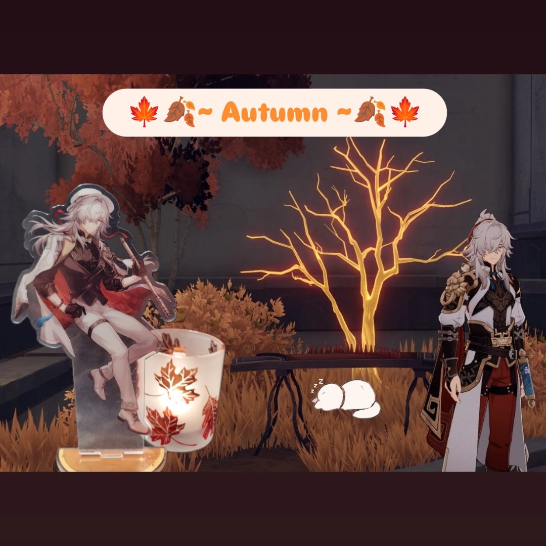 Meine lieblings Jahreszeit, der Herbst, ist endlich da! Zeit, die Kerzen raus zu holen.🕯️☺️ #HSRHerbst