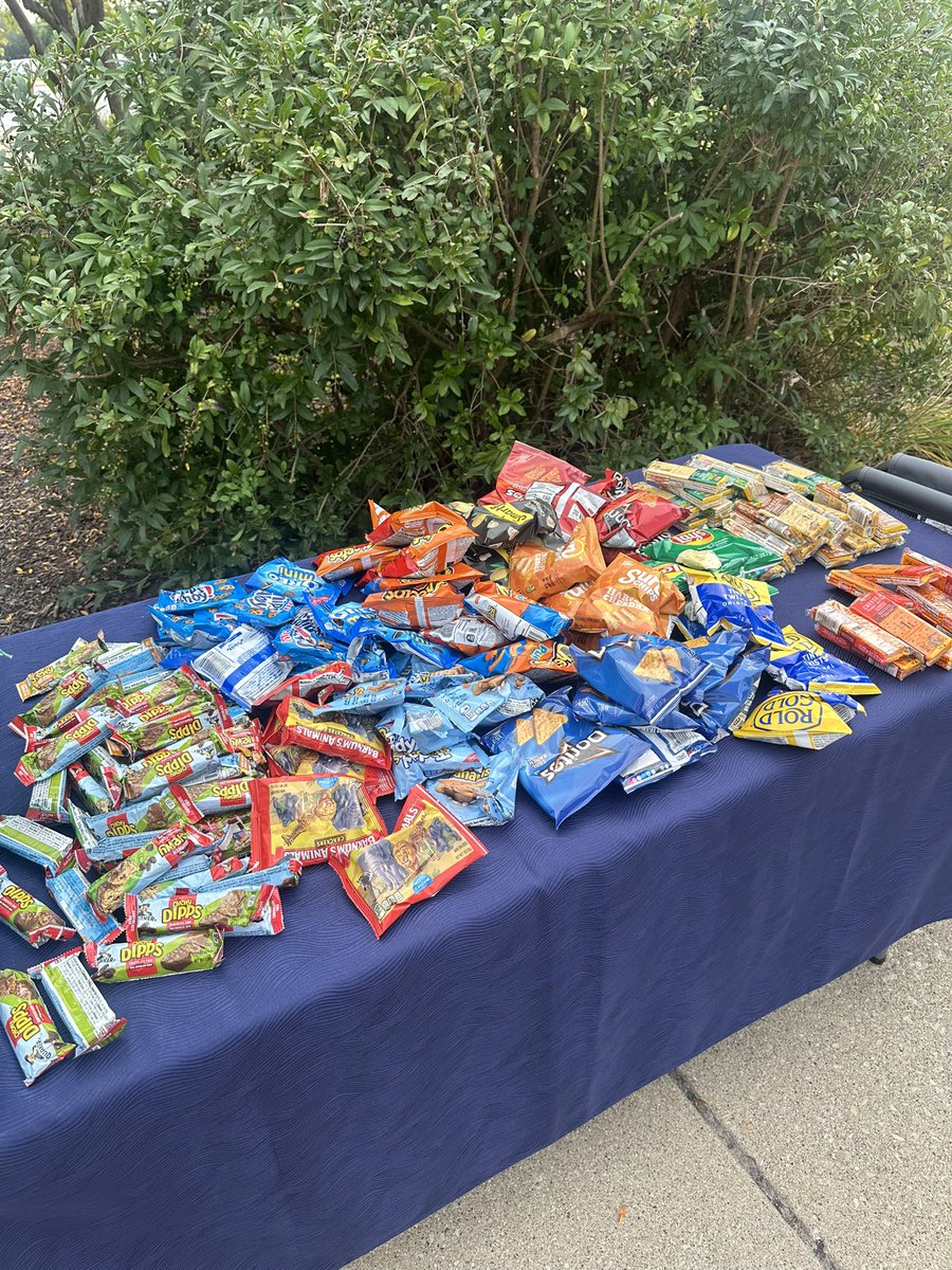 Steck Elementary tweet media