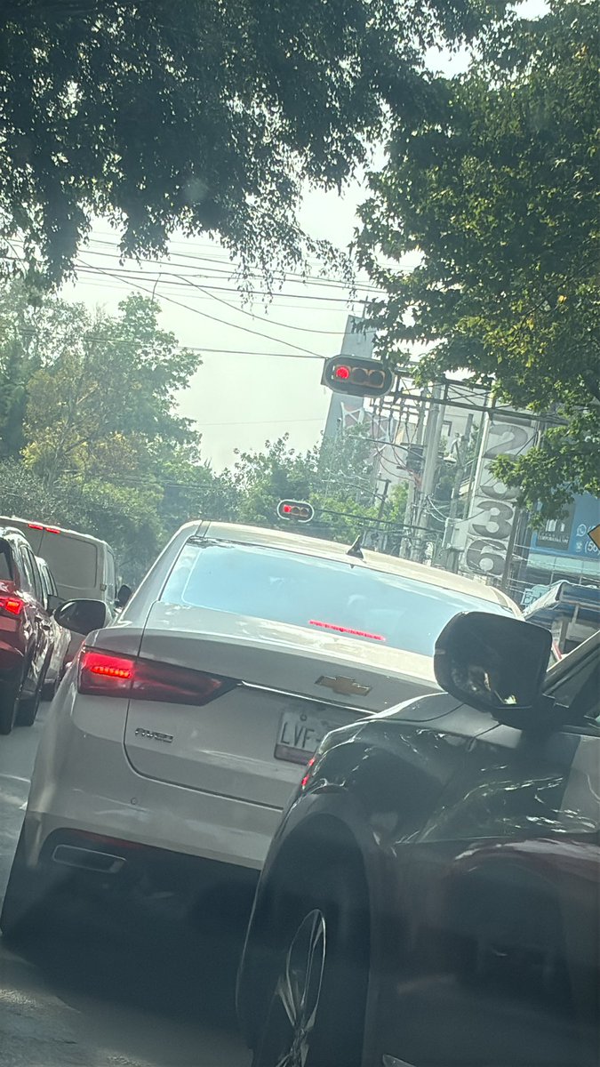 Luis Felipe Puente tweet media