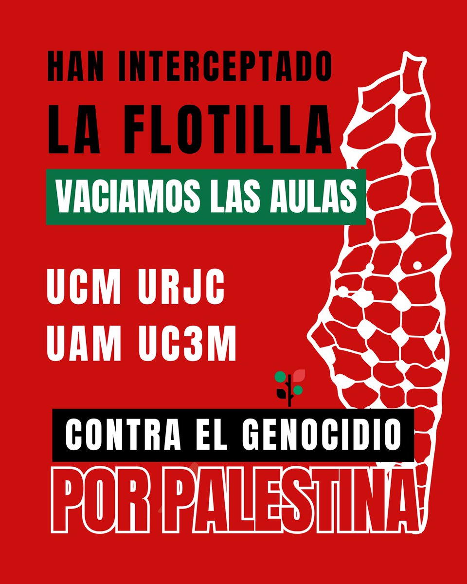 URJCombativa tweet media