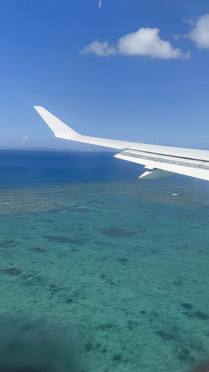 rmonm96's tweet photo. 大学のマイメンと沖縄集合🏖️

ジンベイザメも見てホカンスもして
お酒も飲んでと〜ってもいい旅だった😉

#韓国在住　#思い出 https://t.co/wypl11jLc6
