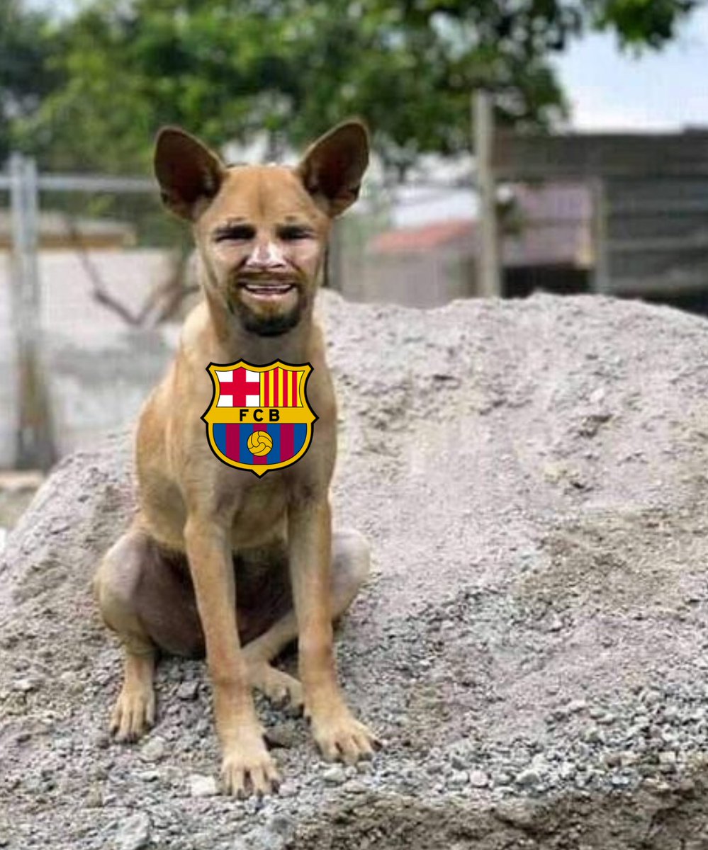WuddhaCR7's tweet photo. Hold dogcelona 🚬 https://t.co/2KNSfhMQc6