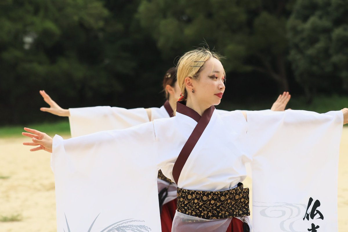 四天王寺大学 仏喜踊 さま。
第26回 こいや祭り
北自由広場会場
2025.09.28

#四天王寺大学仏喜踊 
#仏喜踊 
#こいや祭り 
#よさこい