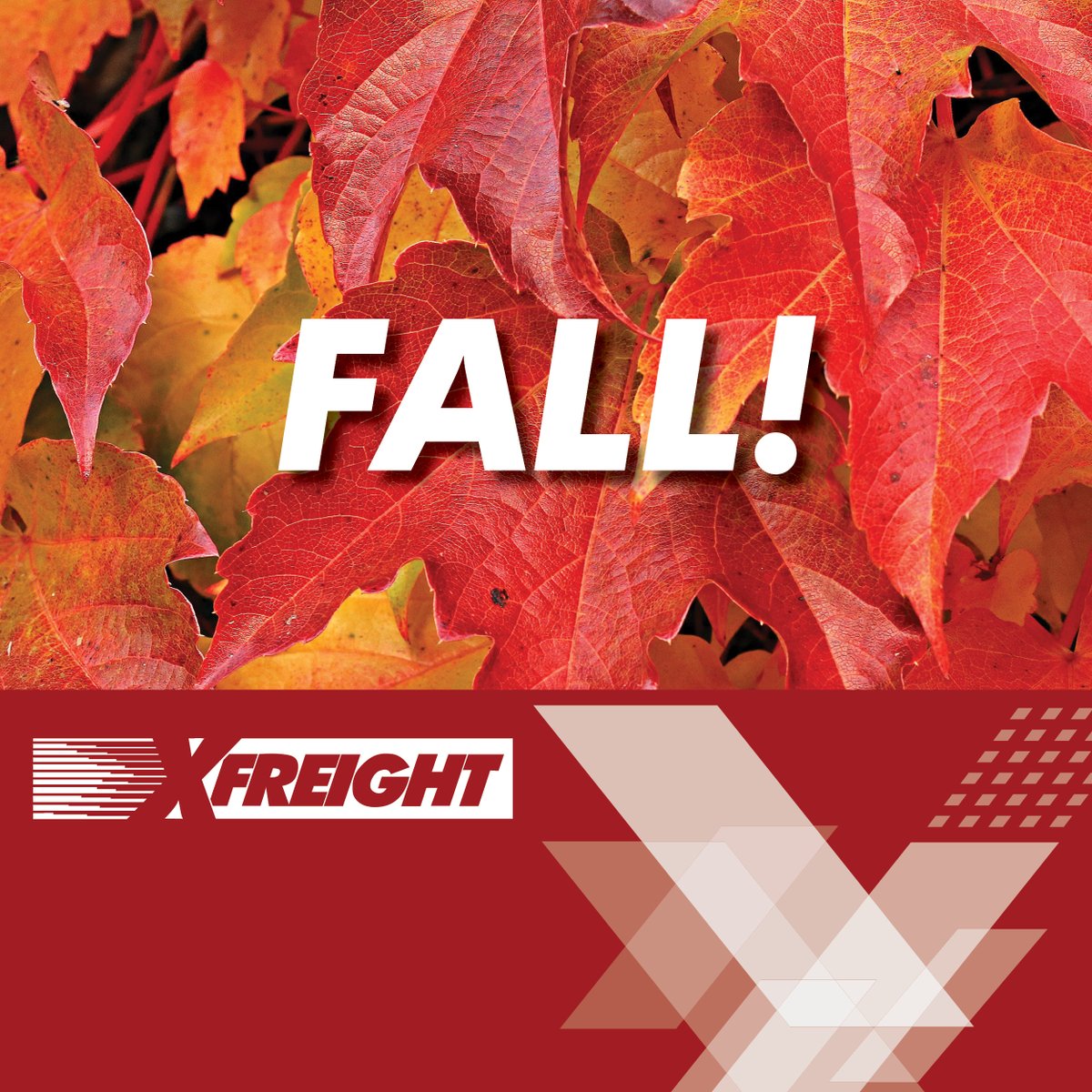 XFreight tweet media