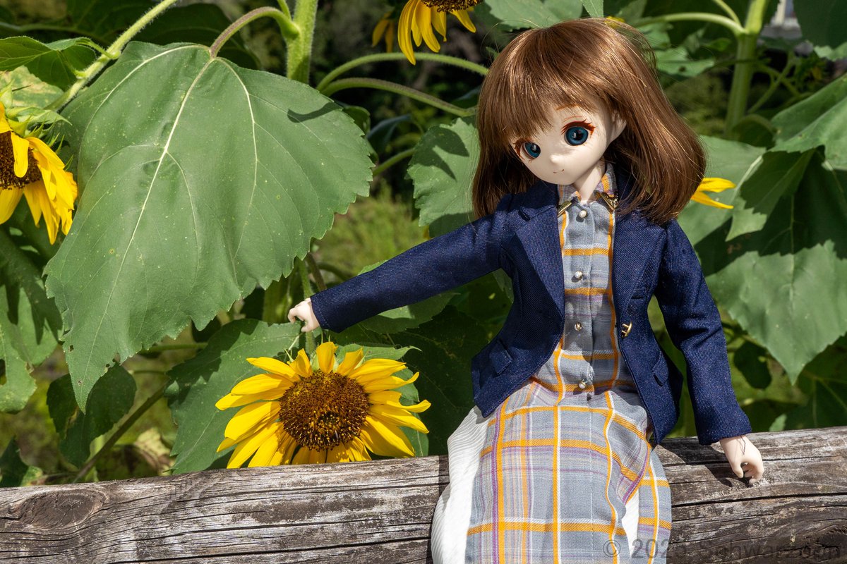 つい２週間前まではこんなに夏だったのにね