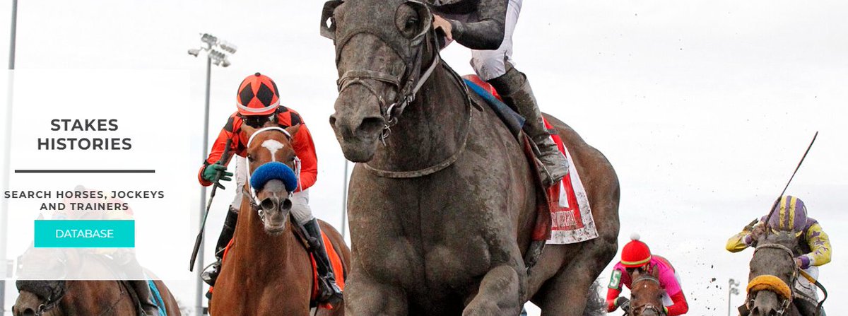 Stakes Histories

Search horses, jockeys and trainers, click below

c0dzk204.caspio.com/dp/ebfa20002b1…