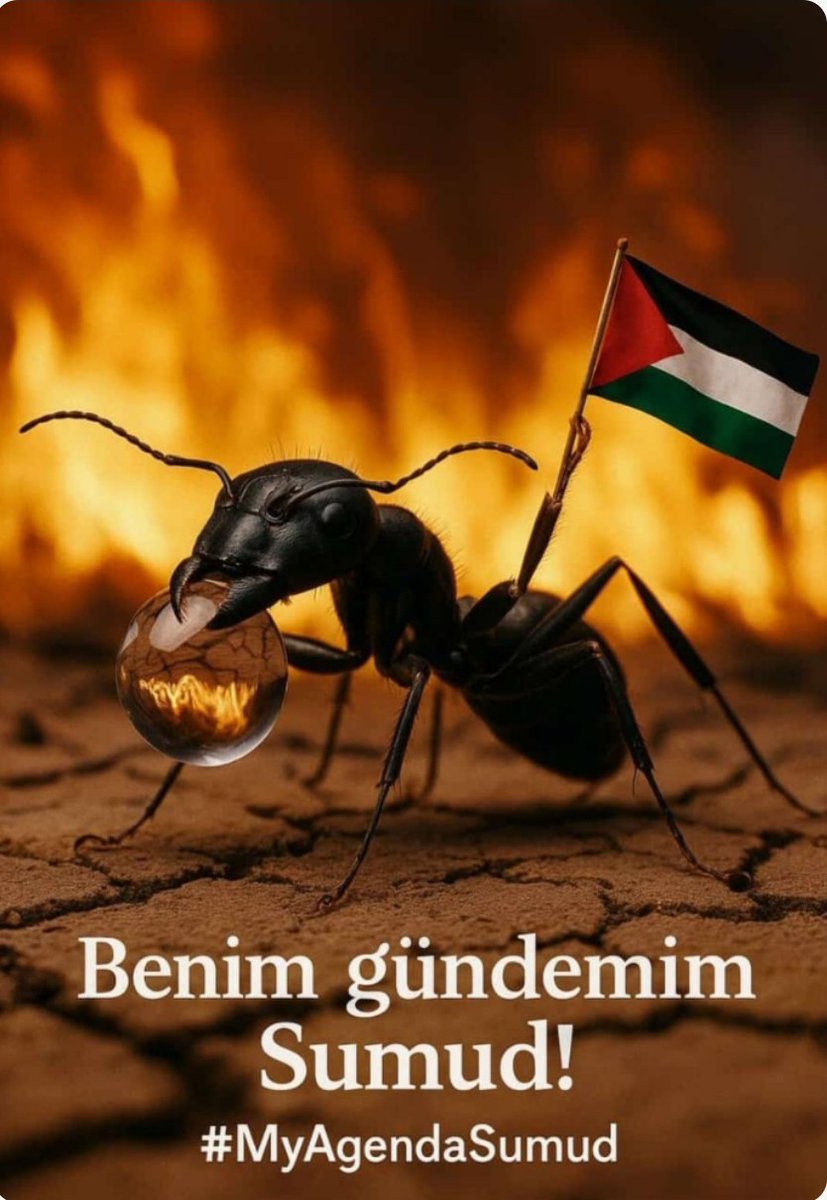 Hz. Ali'nin de dediği gibi, bir zulme engel olamıyorsanız, onu herkese duyurun. #freepalestine
#nazisrail
#WeAreSumud
