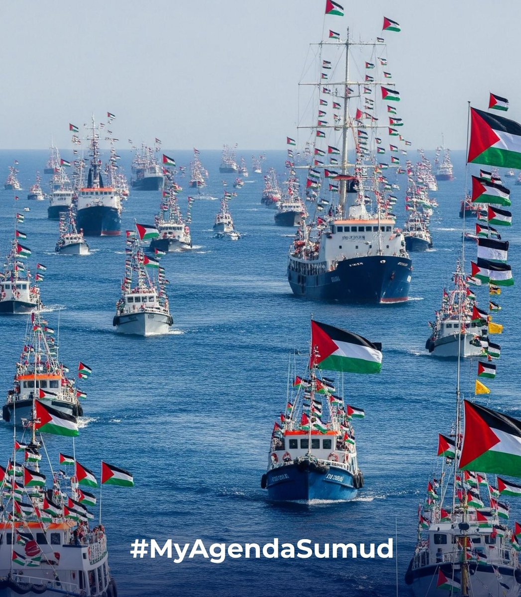 Benim Gündemim Sumud
#MyAgendaSumud 
#FreePalestine