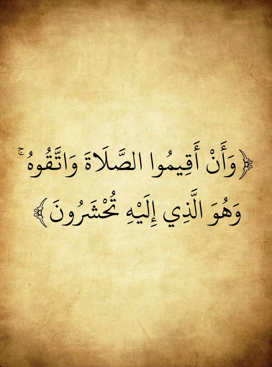 المُصْحَف tweet media