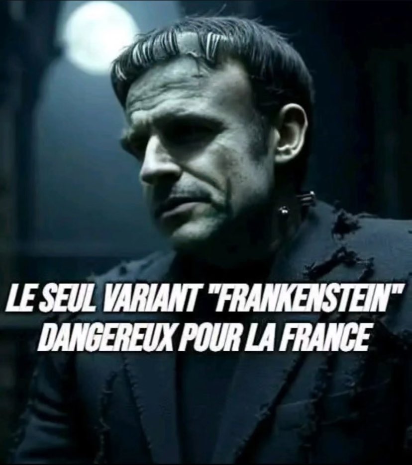 <a href="/Poulin2012/">Alexis Poulin</a> #Frankenstein 🧟‍♂️🦠
#MacronDestitution 
#macronisme
