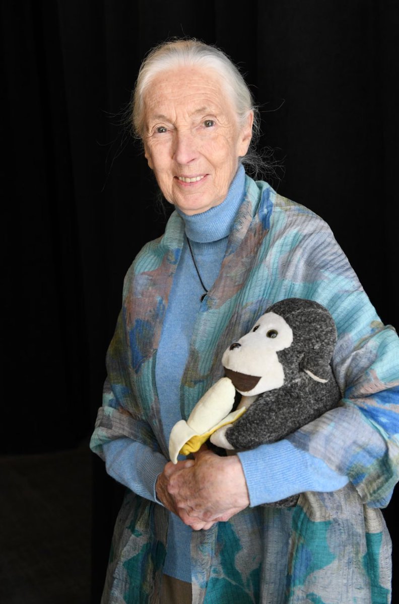 TeslaSupra's tweet photo. Timeless inspiration. RIP Jane Goodall 🙏🏾 https://t.co/znnlamZRZ0