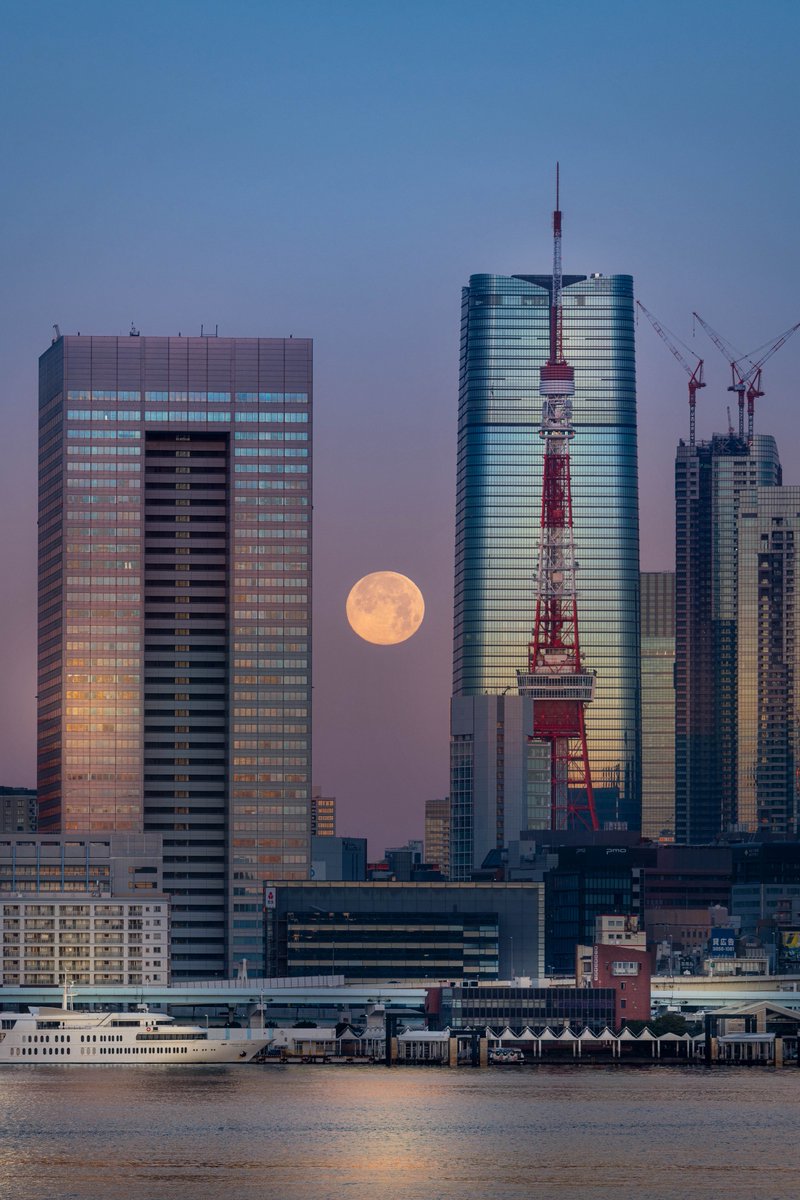 東京の朝は美しい
