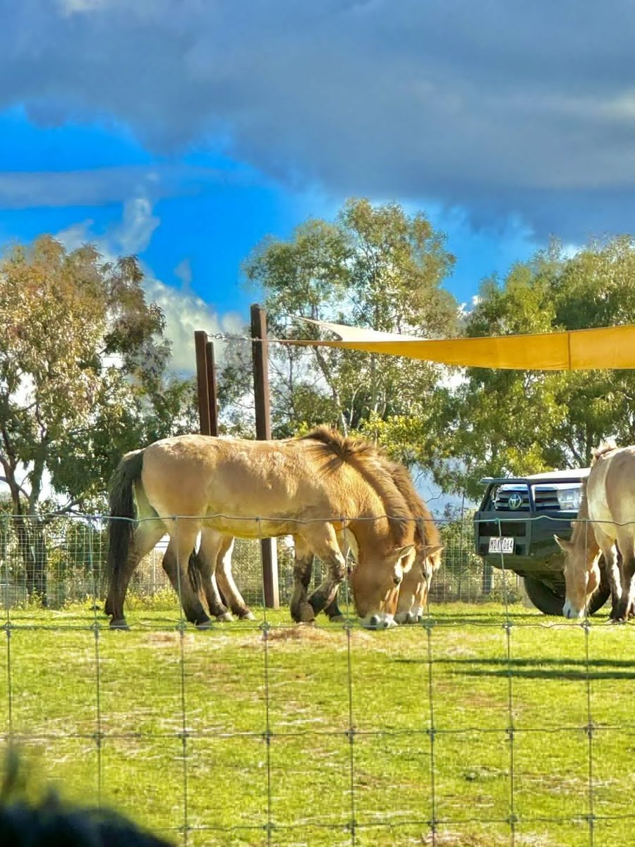 Stable relationships are for horses! 💞