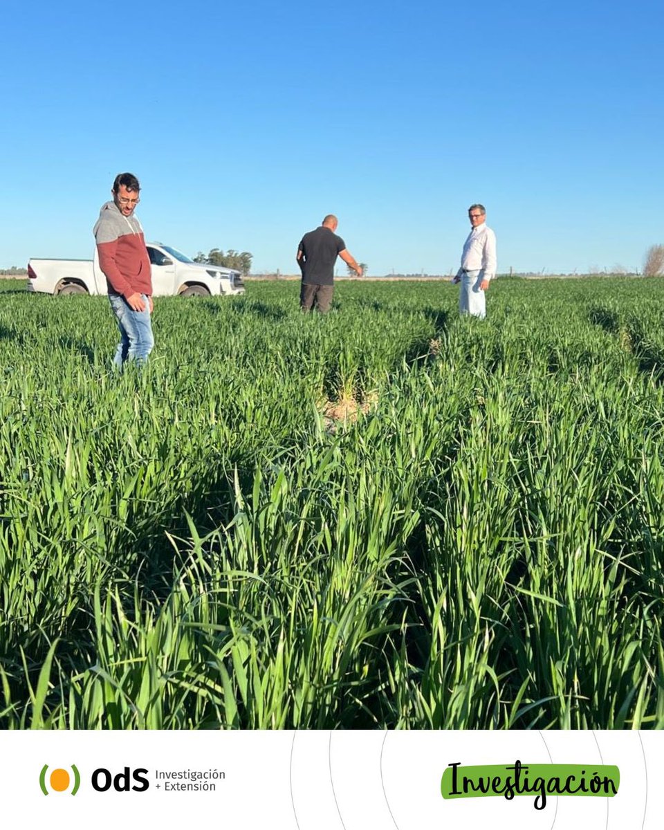 Ojos del Salado tweet media