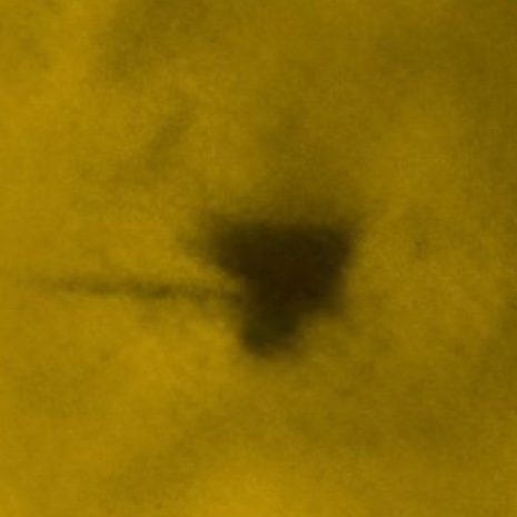 $Atlas CTO tweet media