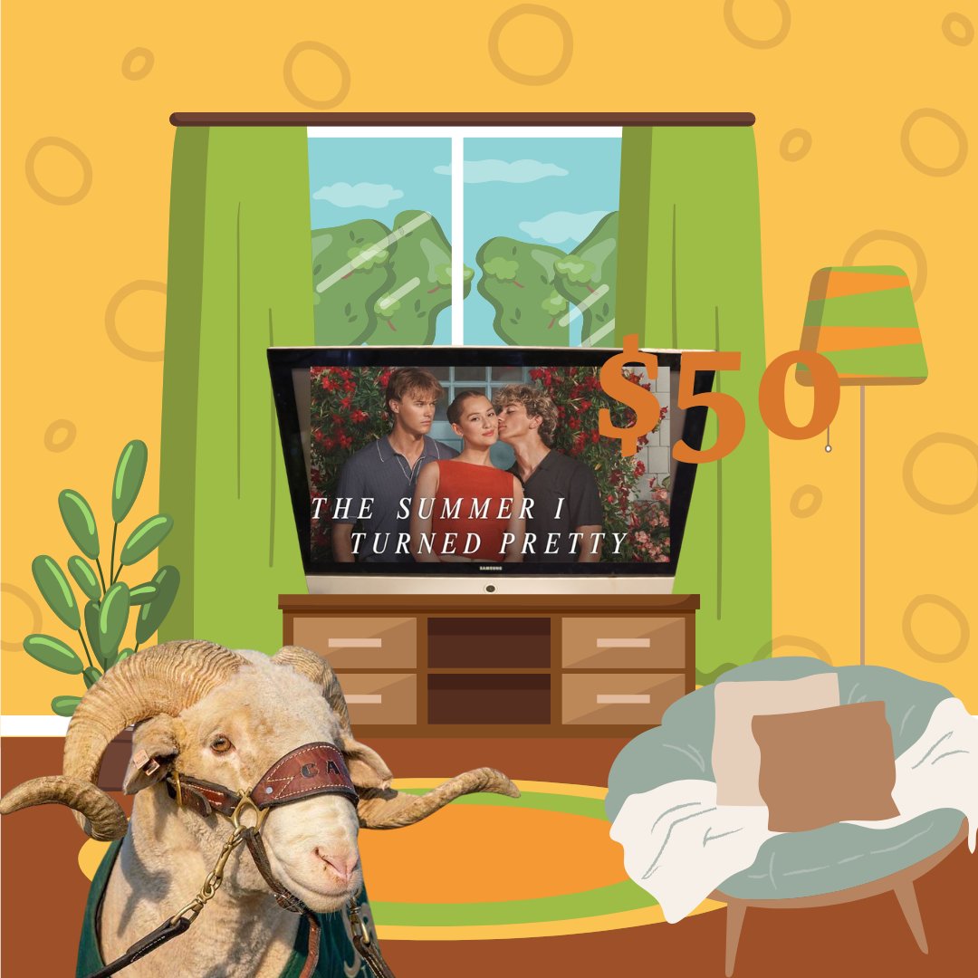 CSU_Surplus's tweet image. Cam is finishing the last season of TSITP on their new television ($50) from CSU Surplus. (BTW we&apos;re team Conrad).

Open Monday-Friday from 7:30am-4:00pm!