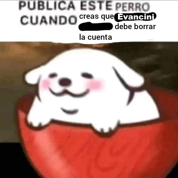 juan_clean tweet media