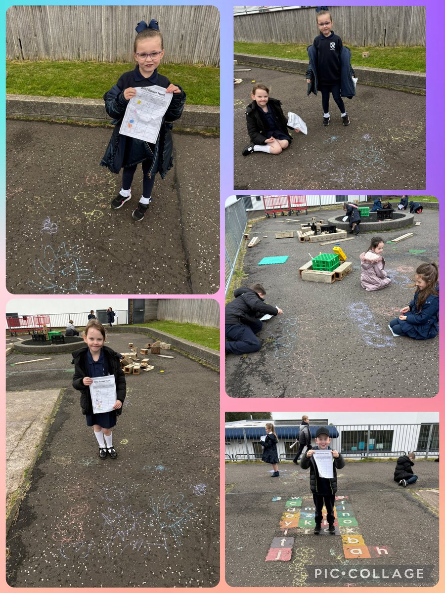 GillNeesonSTEM's tweet photo. Yesterday P2/3 displayed the results of last week’s wild flower hunt in pictograph in the playground before transferring their skills to create pictographs in class. @saintandrewsps @BonarMrs @edscot_maths #invnum https://t.co/Sv8XKDrsaX