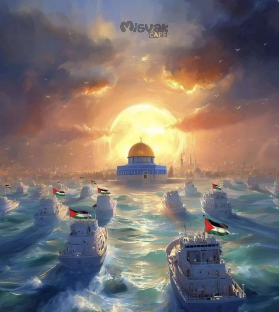 HuseyinSolmaz's tweet photo. Surda gedik açıldı. Ne kadar direnirsen diren sonun yakın. #kahrolsunsiyonizm 
#SumudFlotilla #FreePalestine https://t.co/PTxCfpAscJ