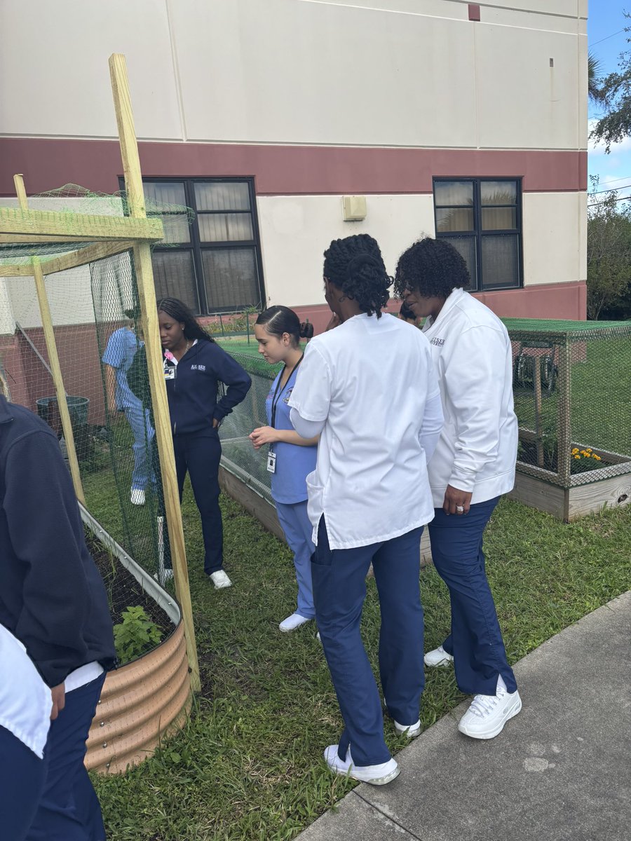 LWMSWarriors's tweet photo. Our medical students partnered with Keiser University, getting hands-on with nature as they explore our garden filled with tomatoes, mint, basil, aloe, and more! ๐ฑ๐
#KeiserUniversity #FutureHealthcareLeaders
@CaelethiaTaylor @AP_Makowski @LaquandraGolf @BEVillalobos79 @ExpatEducatorTJ