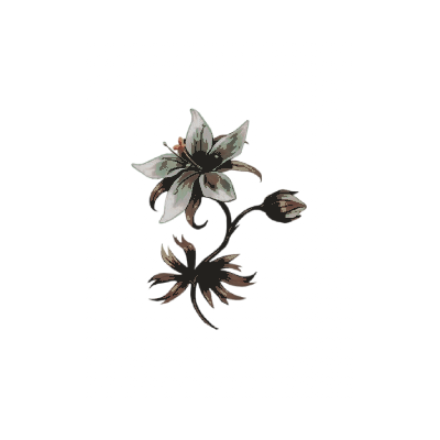 ོ 𝓓I𝗩INE ┉┈ 𝓛𝐈𝐆𝐇𝐓 ៹ tweet media