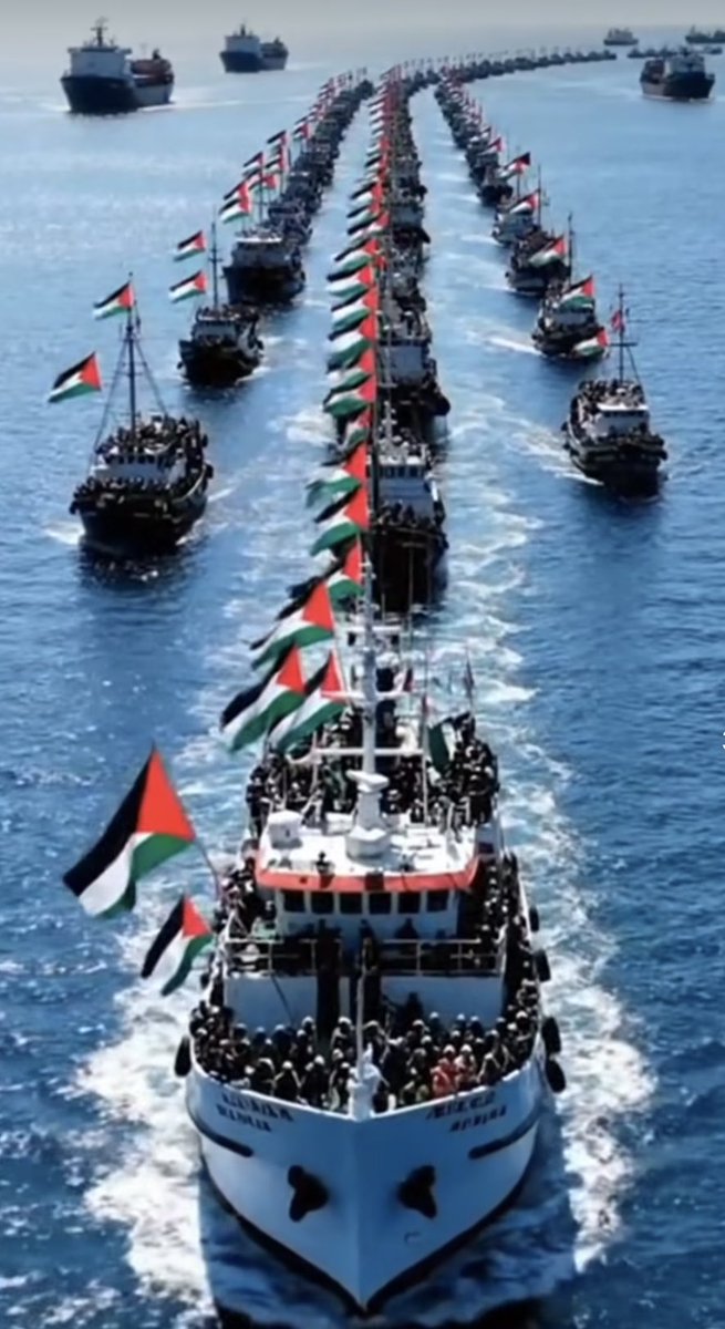 #Solidariteit!
#FreeGaza